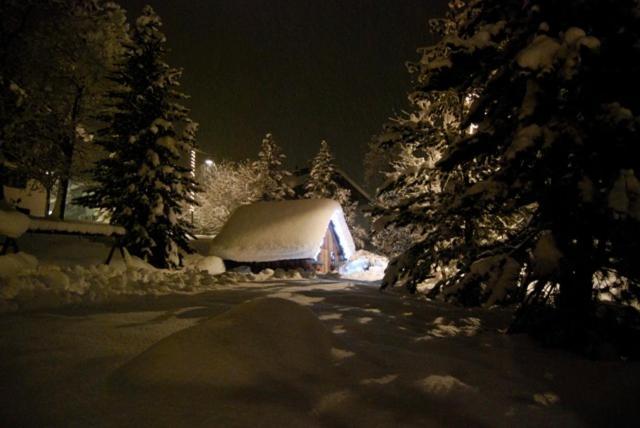 Appartamenti Chalet Orchidea Canazei Exterior foto