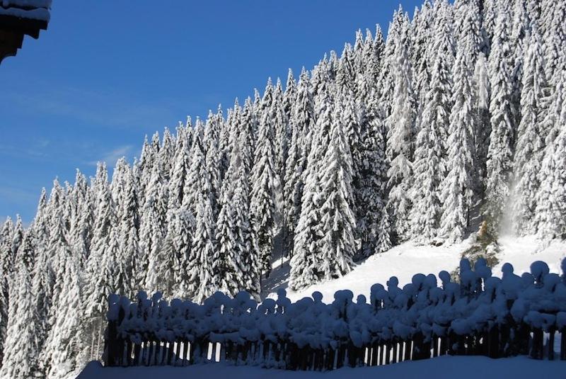 Appartamenti Chalet Orchidea Canazei Exterior foto