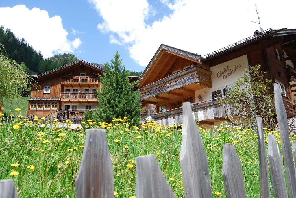Appartamenti Chalet Orchidea Canazei Exterior foto
