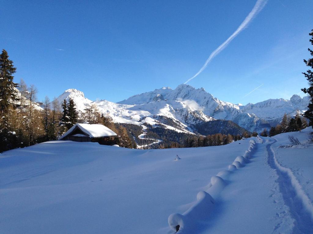 Appartamenti Chalet Orchidea Canazei Exterior foto